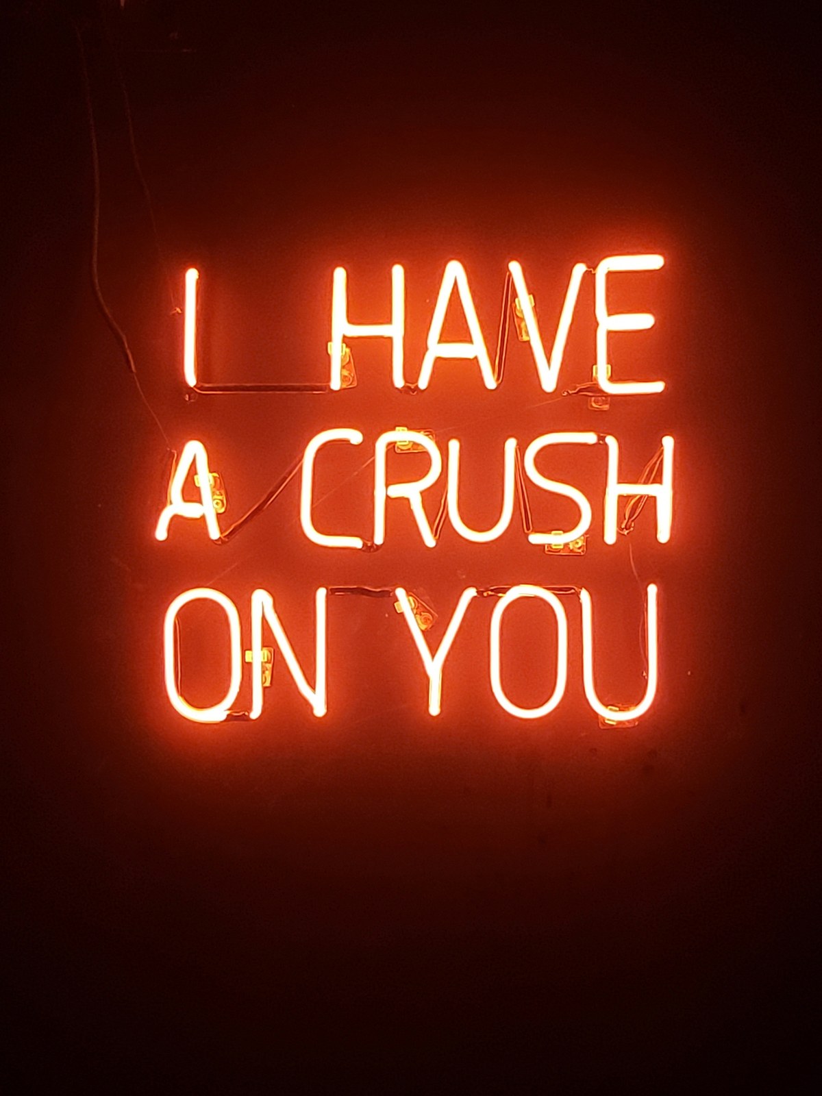 Orange-red neon letters read “I HAVE A CRUSH ON YOU” against a dark wall.