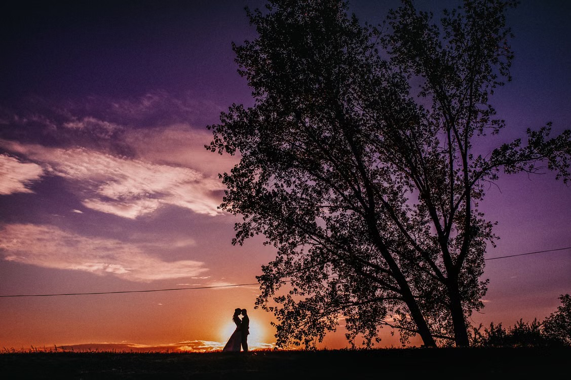 Two people embrace in silhouette beneath a tree against an orange and purple sunset.